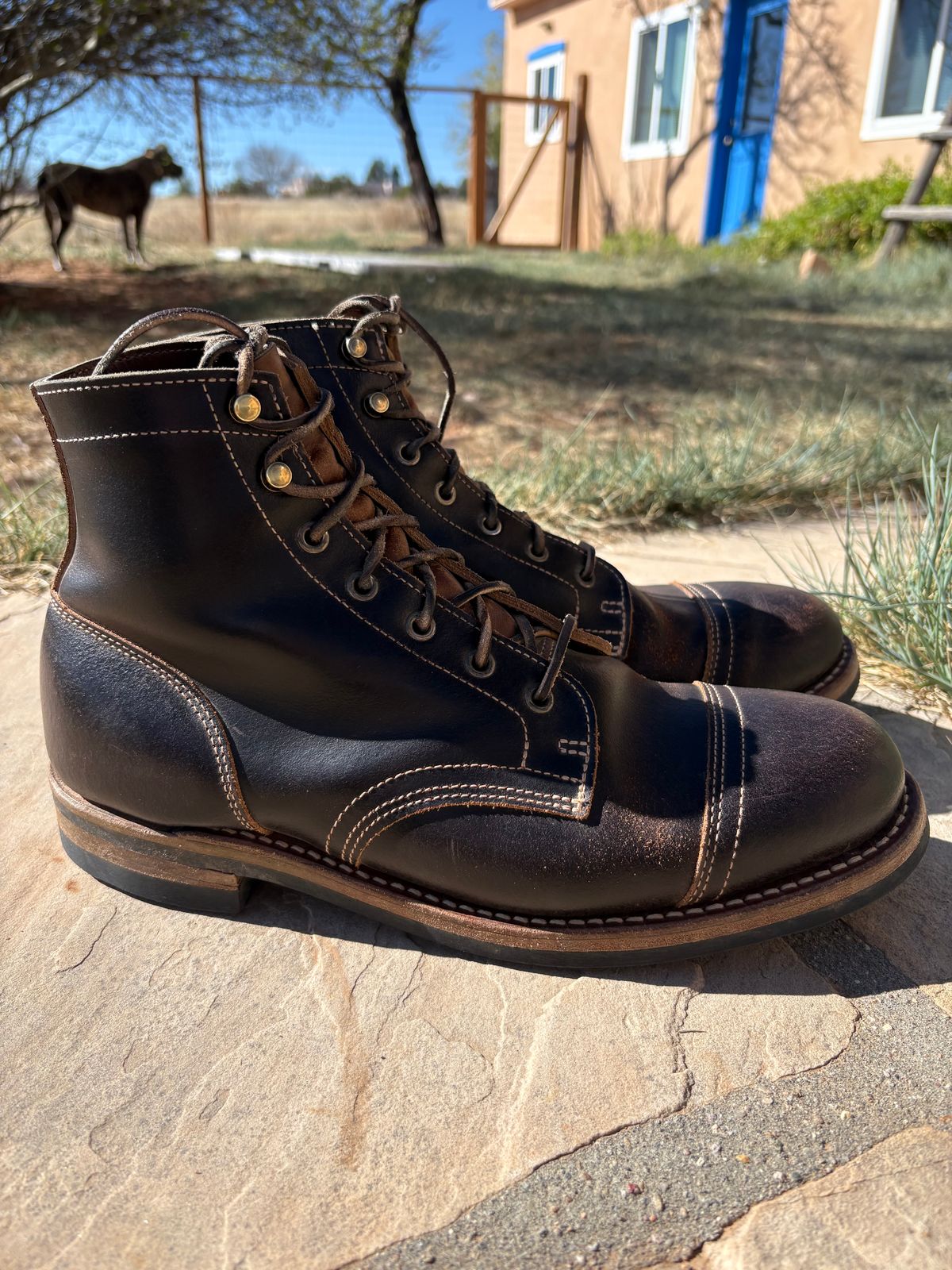 Photo by chosenone23 on April 4, 2026 of the Truman Cap Toe Boot in Horween Java Waxed Flesh.