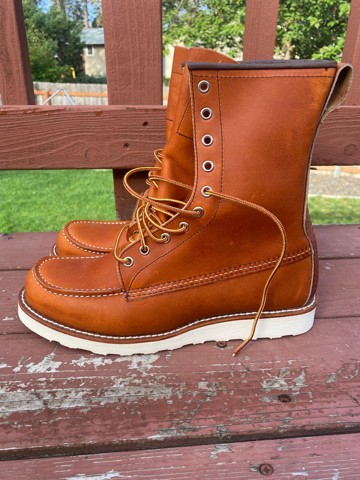 Photo by chosenone23 on October 1, 2022 of the Red Wing 8-Inch Classic Moc in S.B. Foot Oro Legacy.
