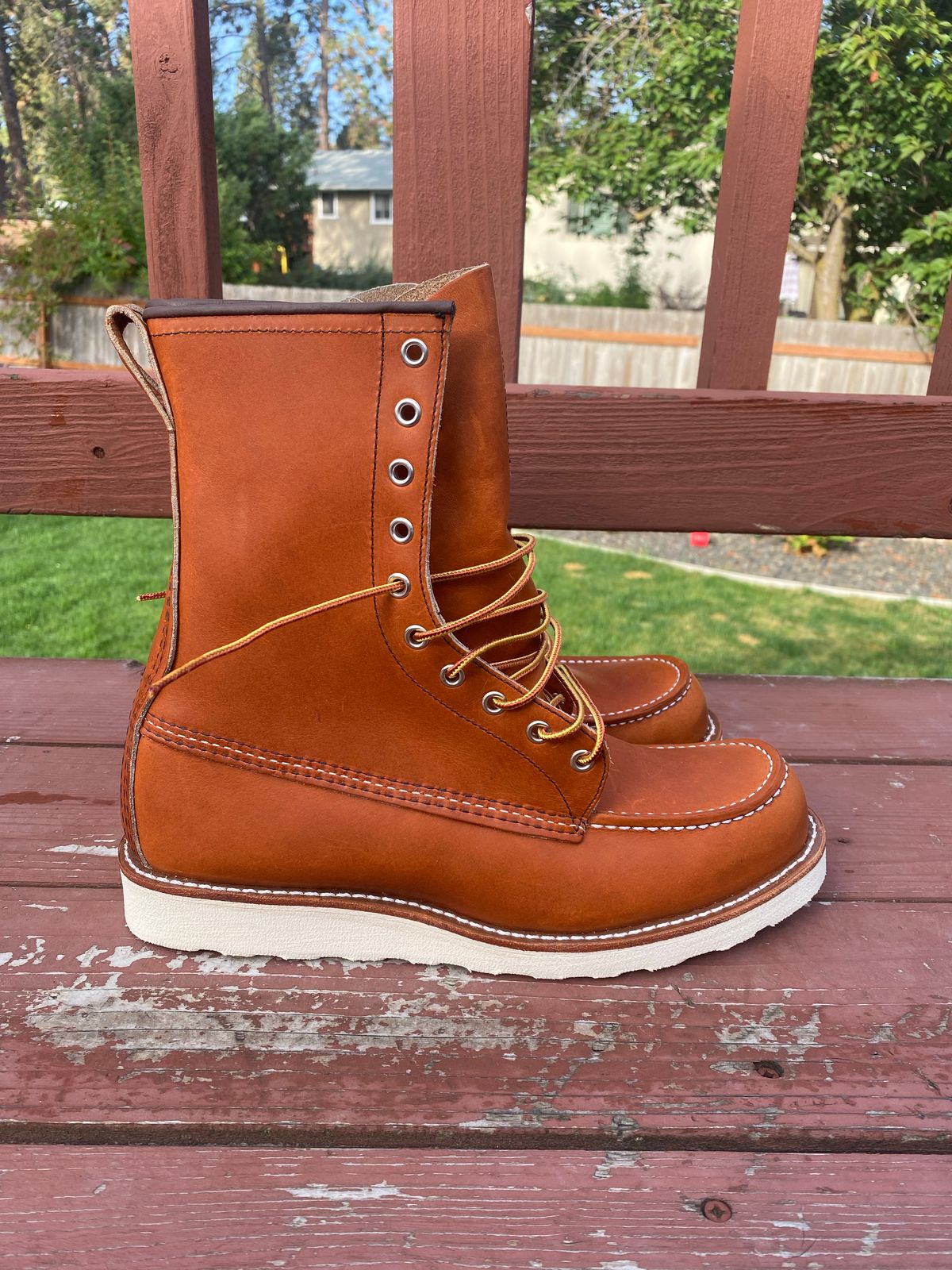 Photo by chosenone23 on October 1, 2022 of the Red Wing 8-Inch Classic Moc in S.B. Foot Oro Legacy.