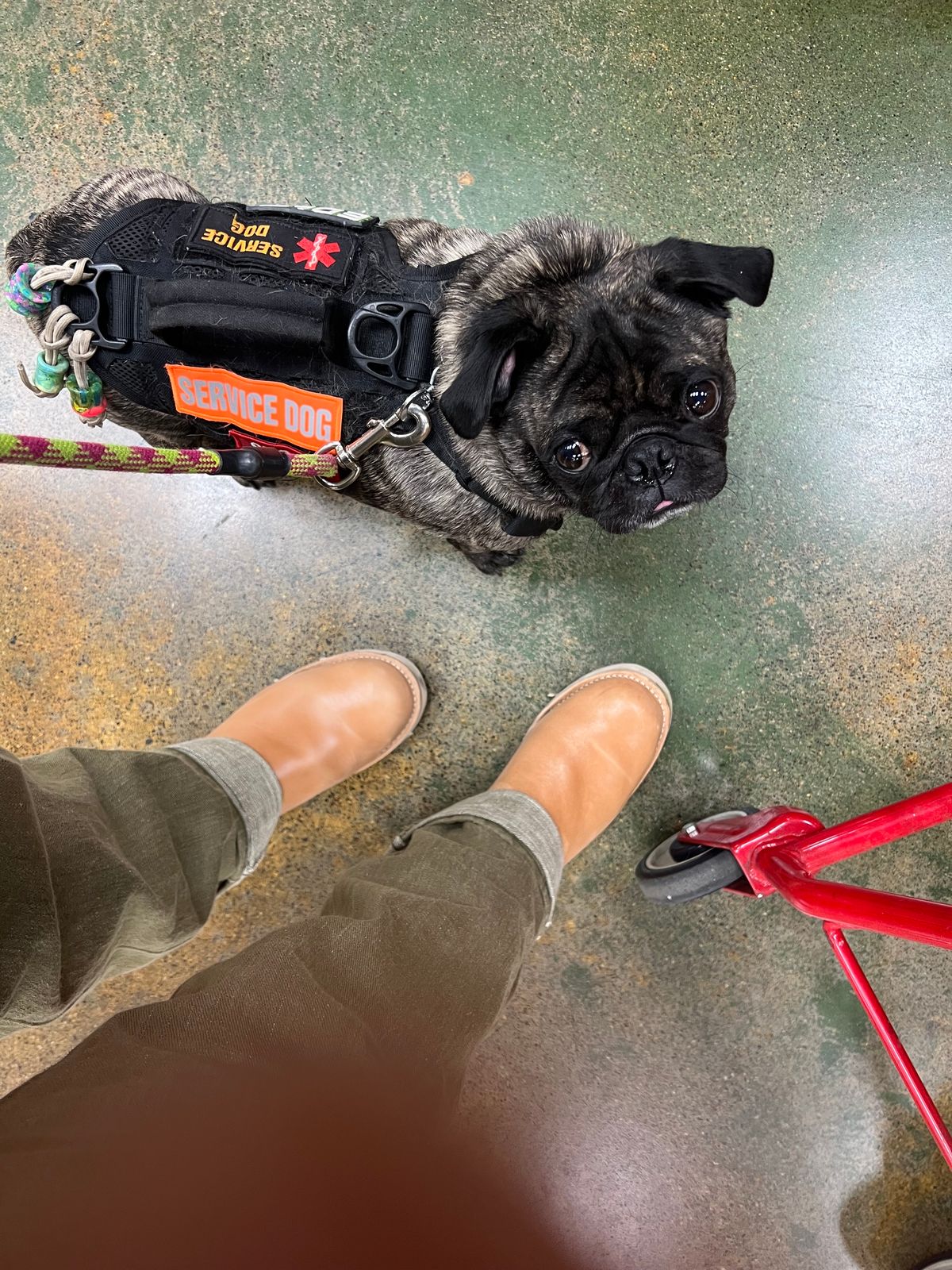 Photo by RyanCard87 on November 1, 2023 of the Wesco Boss Engineer Boot in Unknown Natural Veg Tan.