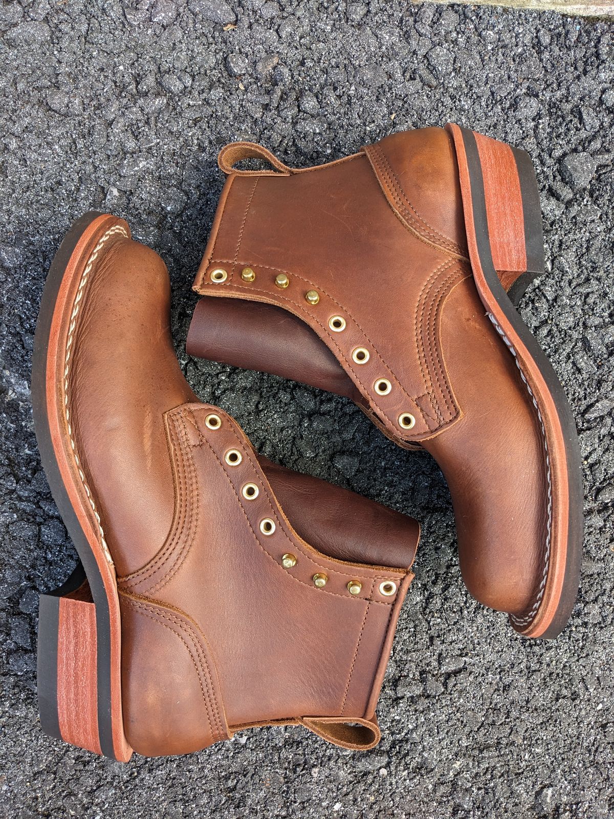 Photo by Monkley on October 10, 2023 of the Nicks Robert in Seidel 1964 Brown.