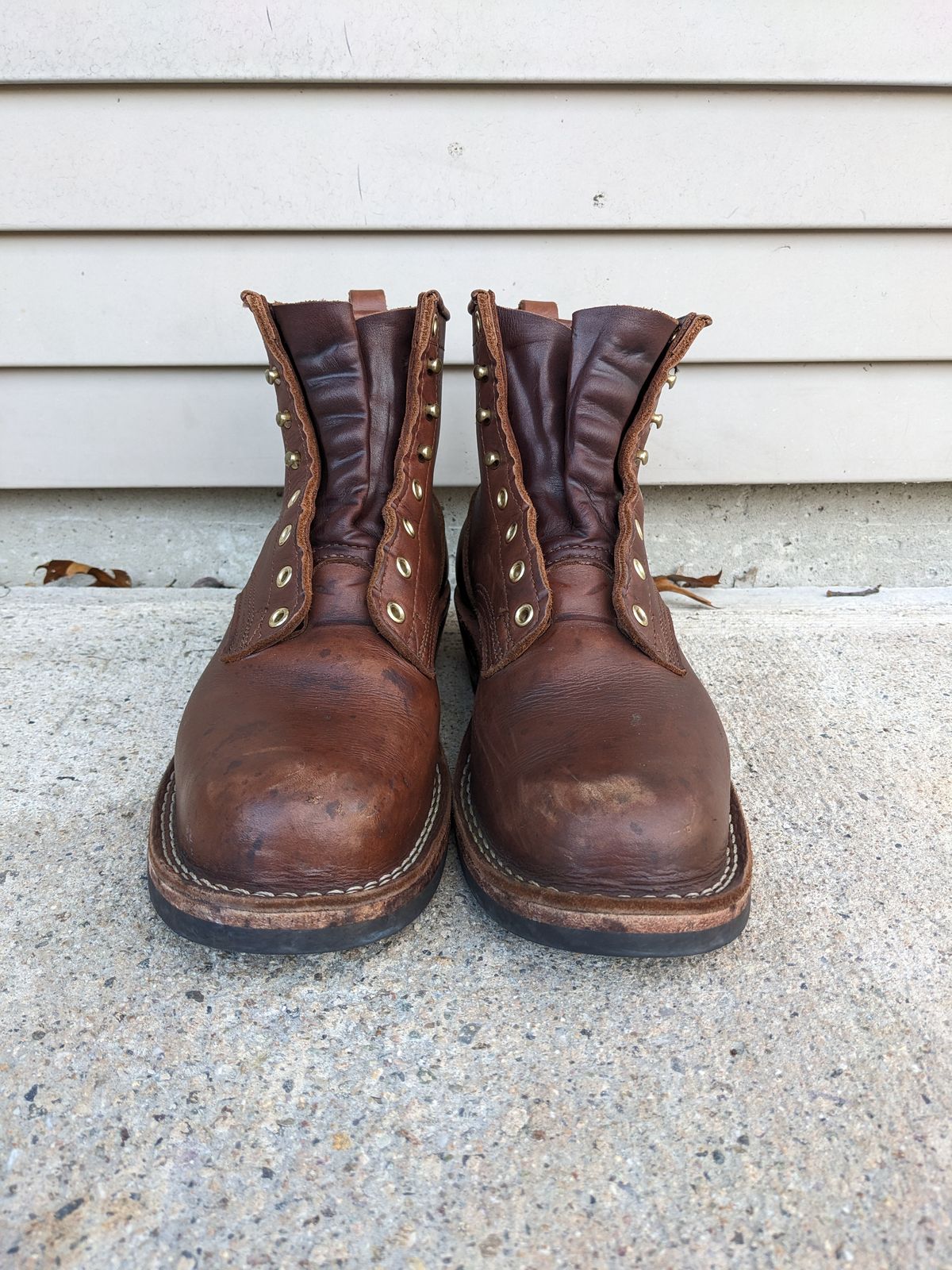 Photo by Monkley on November 3, 2023 of the Nicks Robert in Seidel 1964 Brown.