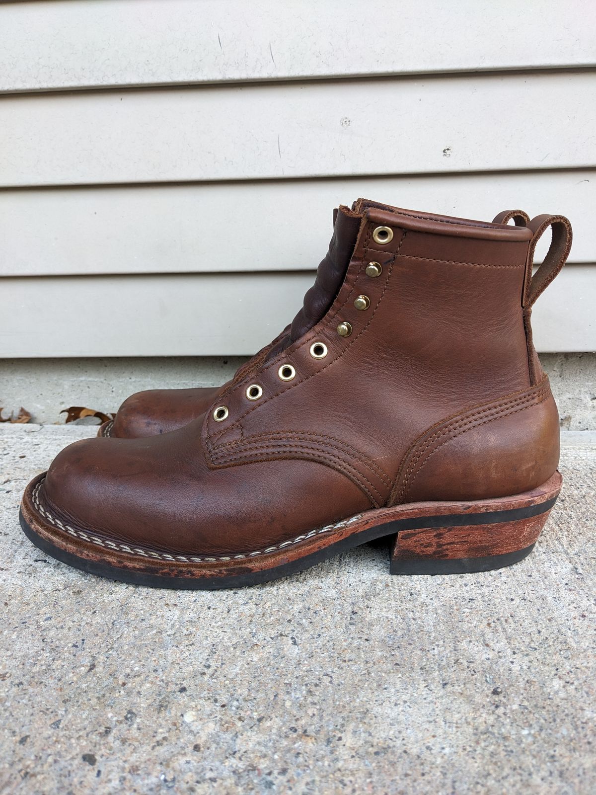 Photo by Monkley on November 3, 2023 of the Nicks Robert in Seidel 1964 Brown.