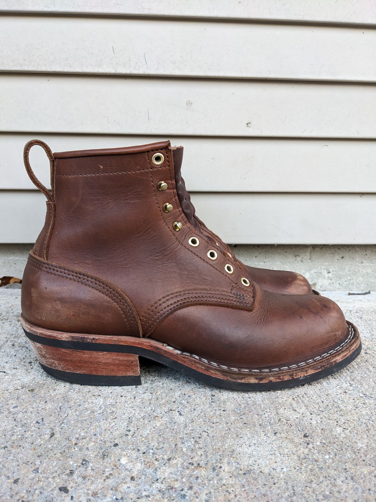 Photo by Monkley on November 3, 2023 of the Nicks Robert in Seidel 1964 Brown.