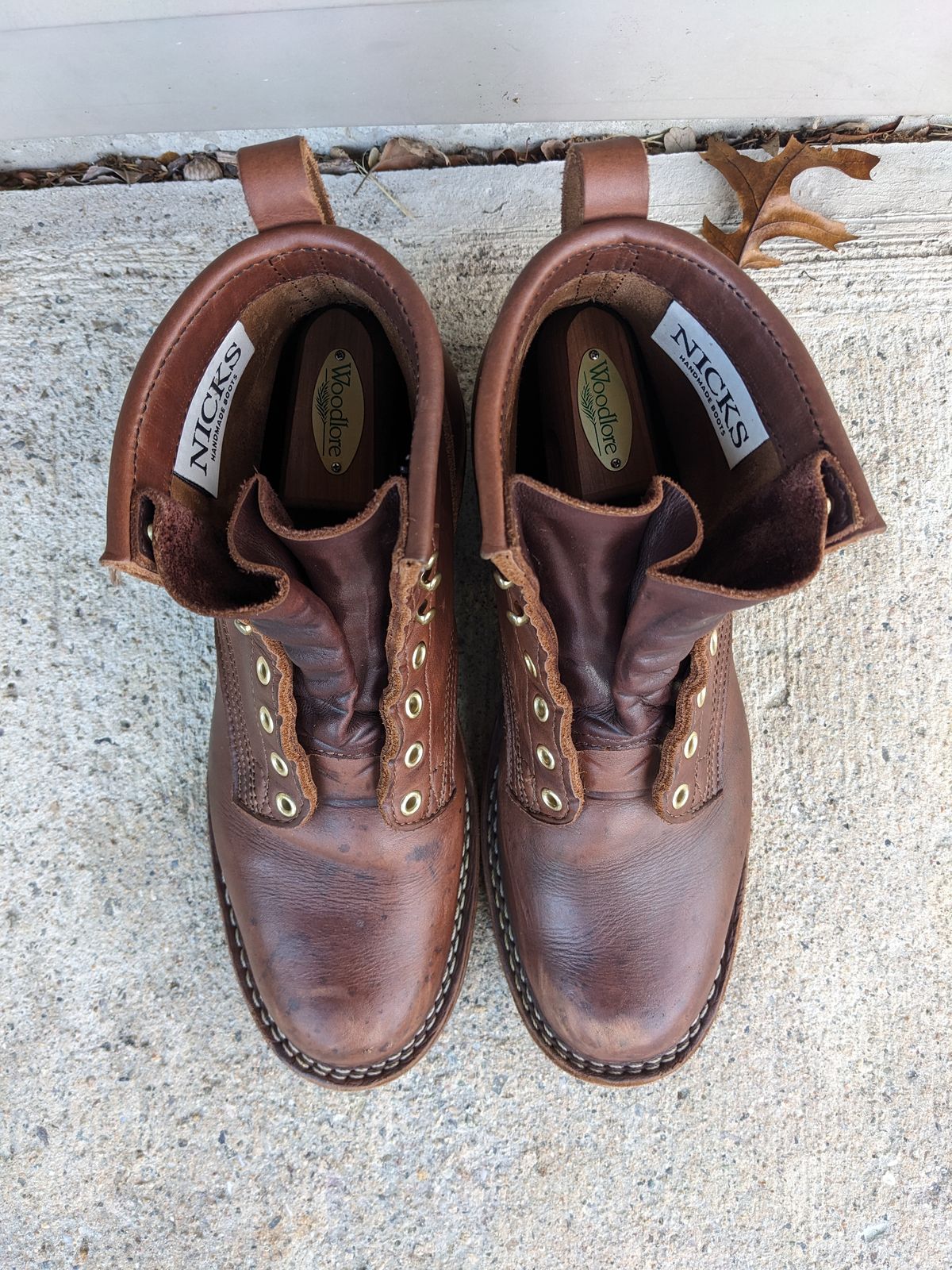 Photo by Monkley on November 3, 2023 of the Nicks Robert in Seidel 1964 Brown.