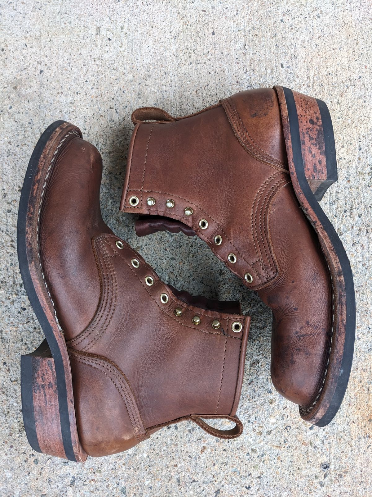 Photo by Monkley on December 5, 2023 of the Nicks Robert in Seidel 1964 Brown.