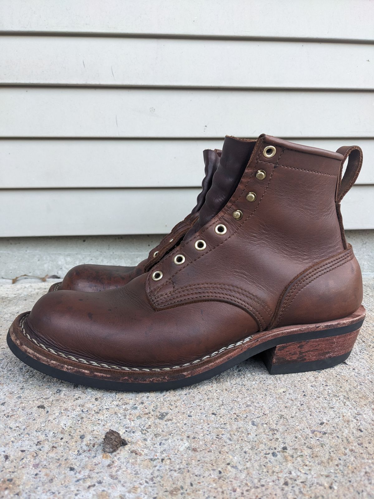 Photo by Monkley on January 5, 2024 of the Nicks Robert in Seidel 1964 Brown.