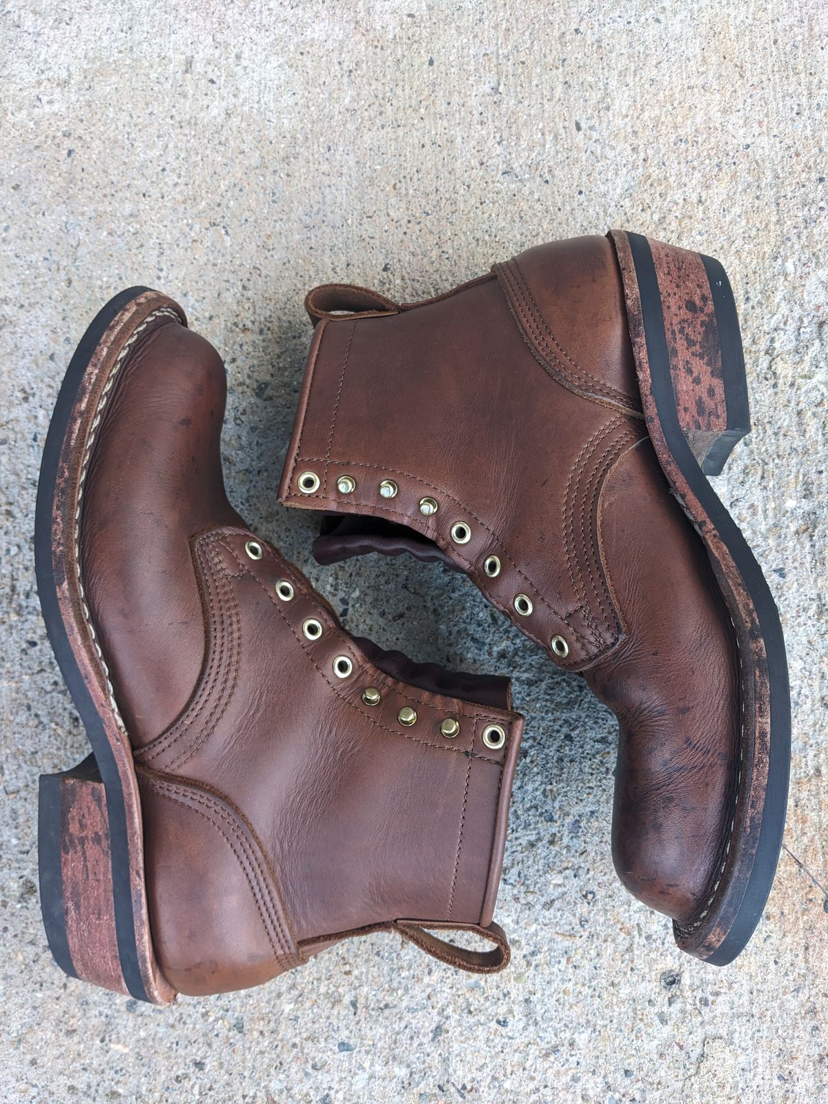 Photo by Monkley on January 5, 2024 of the Nicks Robert in Seidel 1964 Brown.