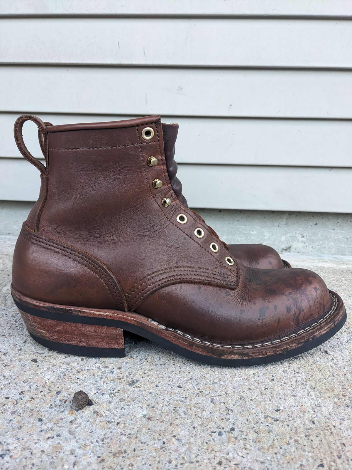Photo by Monkley on January 5, 2024 of the Nicks Robert in Seidel 1964 Brown.