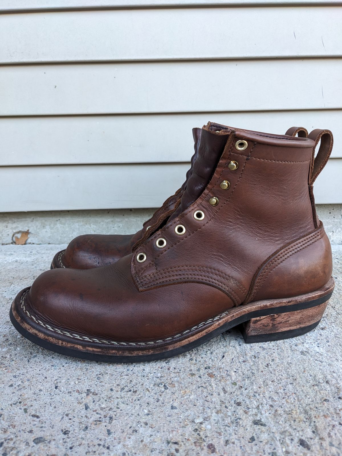 Photo by Monkley on February 3, 2024 of the Nicks Robert in Seidel 1964 Brown.