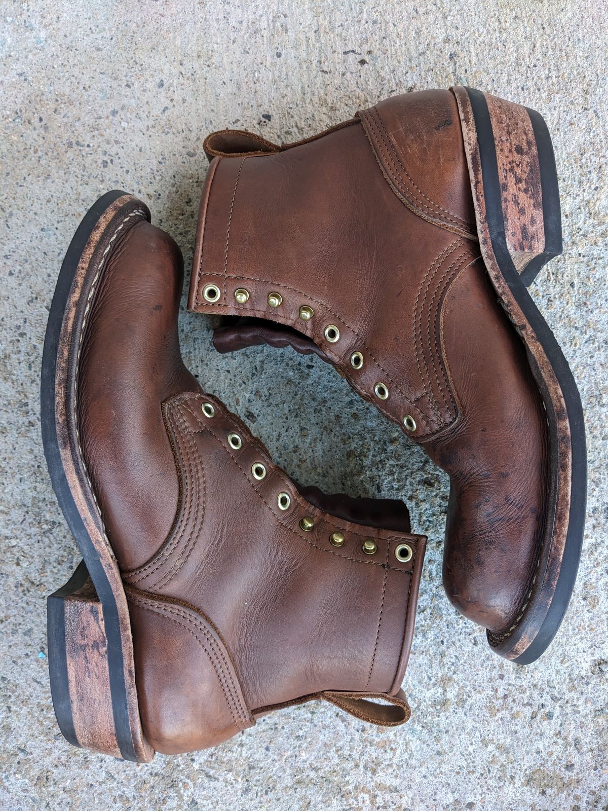 Photo by Monkley on February 3, 2024 of the Nicks Robert in Seidel 1964 Brown.