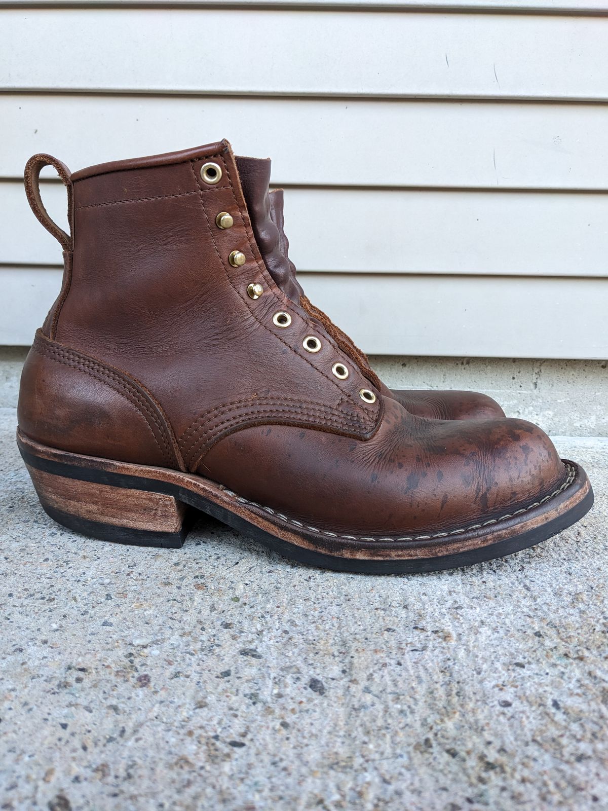 Photo by Monkley on February 3, 2024 of the Nicks Robert in Seidel 1964 Brown.