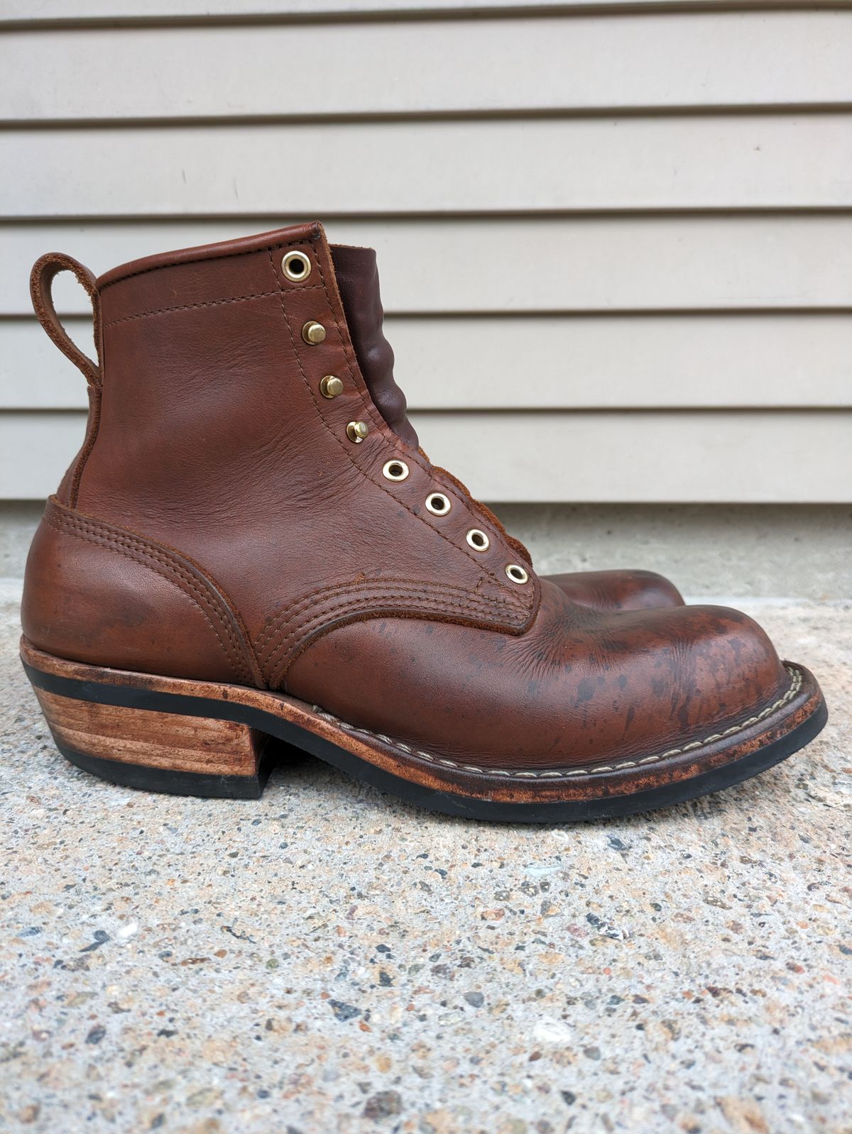 Photo by Monkley on April 1, 2024 of the Nicks Robert in Seidel 1964 Brown.