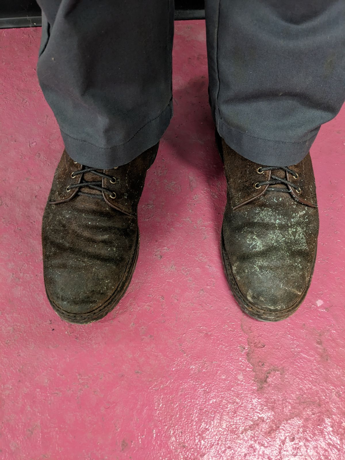 Photo by Monkley on February 3, 2023 of the Allen Edmonds Higgins Mill in Snuff Brown Suede.