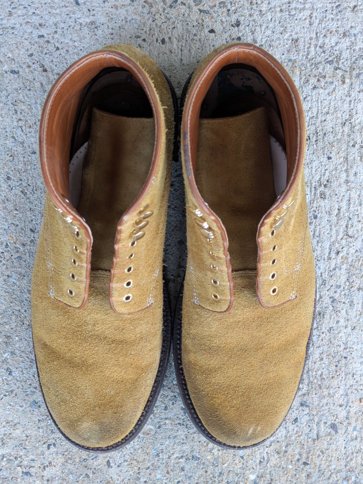 Photo by Monkley on December 5, 2025 of the Grant Stone Baroda Boot in C.F. Stead Snuff Desert Oasis Suede.