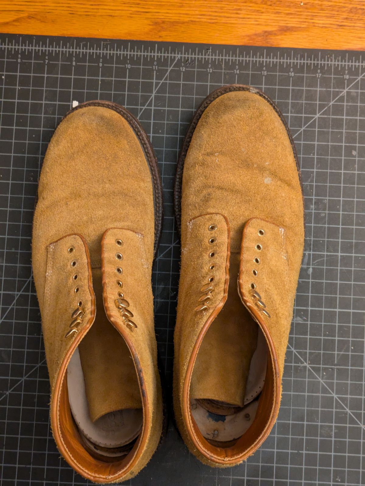 Photo by Monkley on January 6, 2026 of the Grant Stone Baroda Boot in C.F. Stead Snuff Desert Oasis Suede.