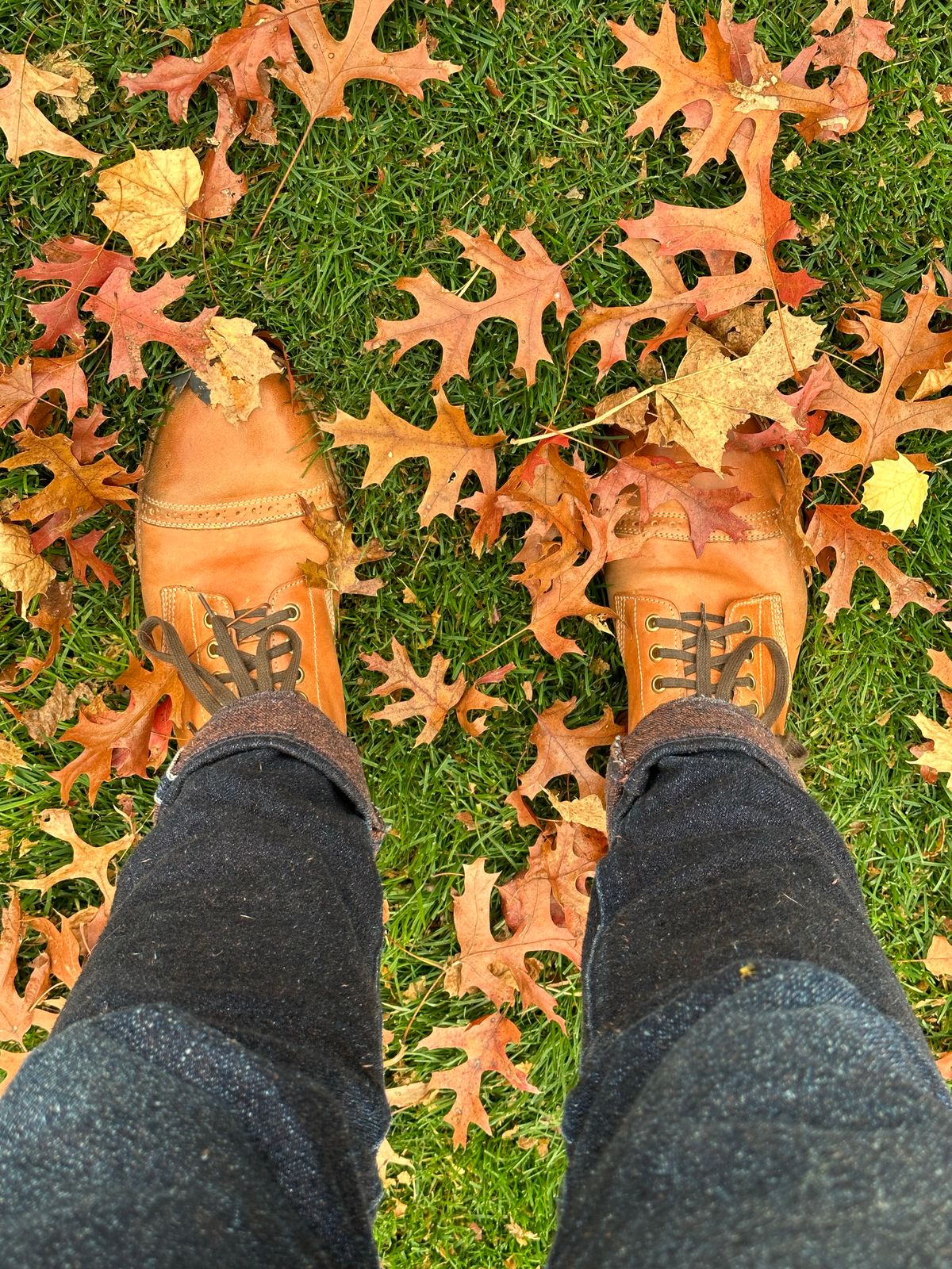 Photo by gmart7 on November 5, 2022 of the Oak Street Bootmakers Field Boot in Maryam Natural Horsebutt.