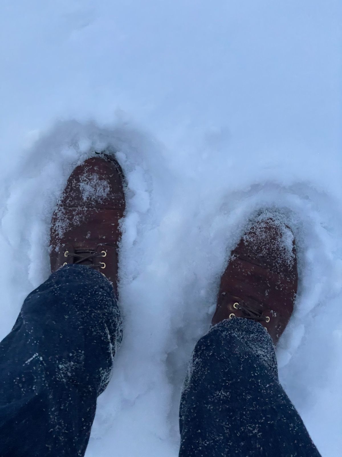 Photo by zhqan on January 10, 2025 of the Grant Stone Garrison Boot in Gallun Red Waxed Deer.