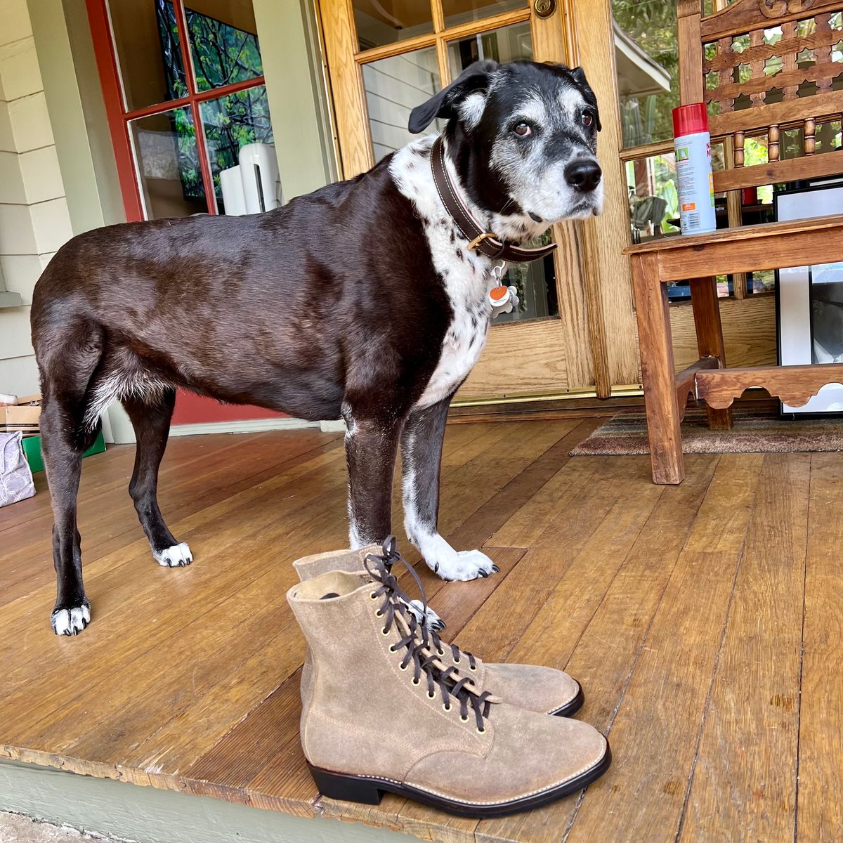 Photo by robyn on October 1, 2023 of the NF Bootmaker Belmont Boot in C.F. Stead Milkshake Desert Oasis Waxed Suede.