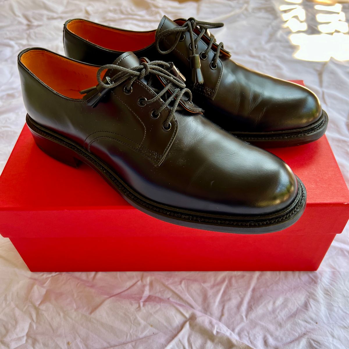 Photo by robyn on March 21, 2021 of the Carmina Plain Toe Derby 1525 in D'Annonay Black Antique Calf.