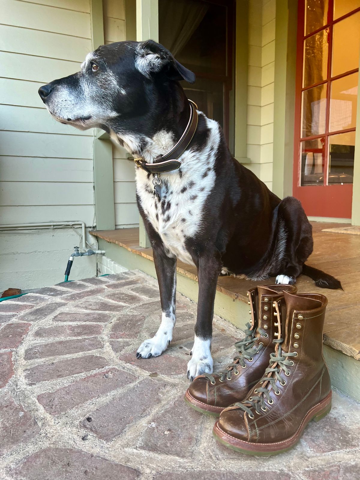 Photo by robyn on February 1, 2023 of the Flame Panda Monkey Boot in Shinki Olive Oiled Horsebutt.