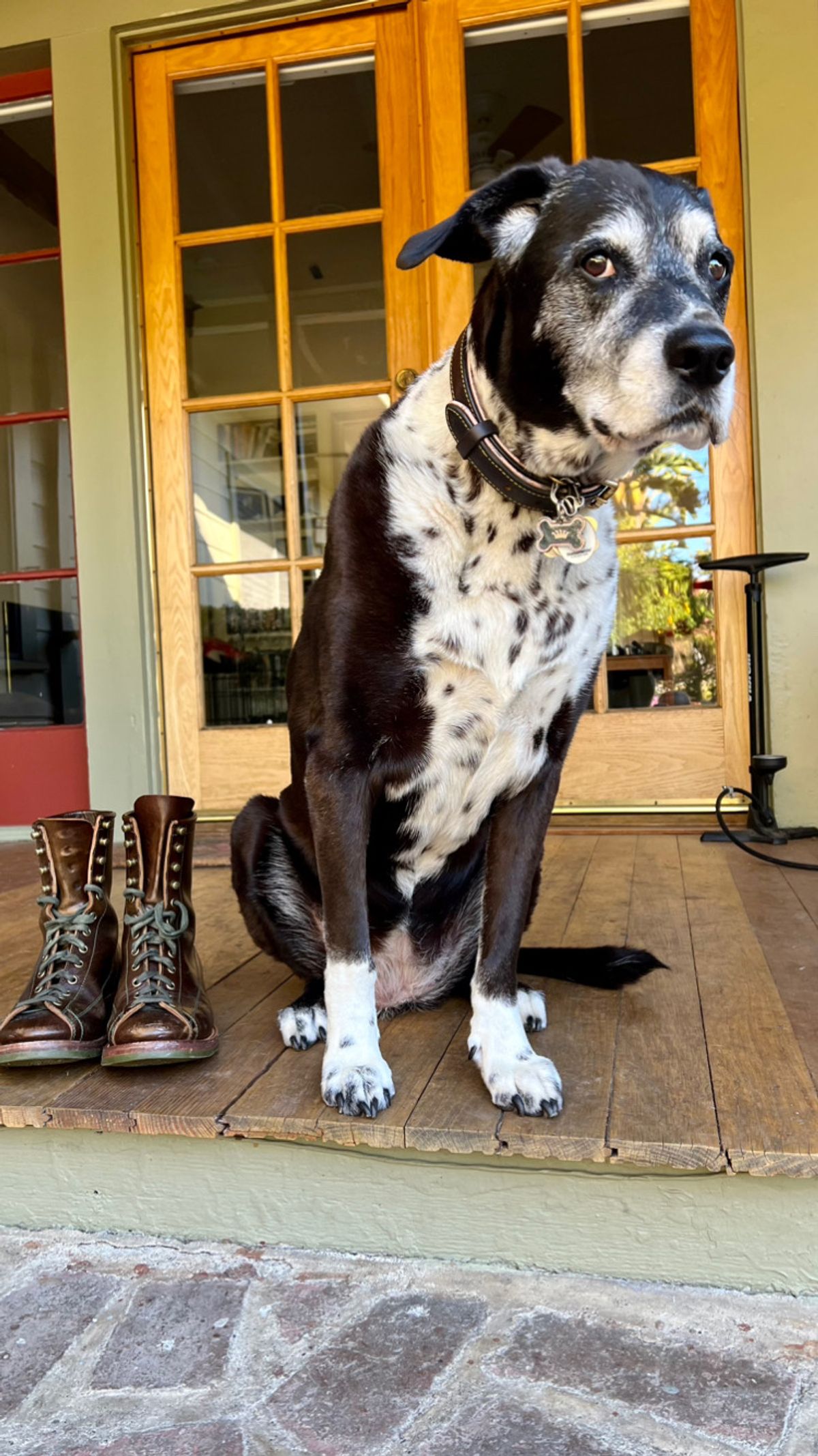 Photo by robyn on March 4, 2023 of the Flame Panda Monkey Boot in Shinki Olive Oiled Horsebutt.