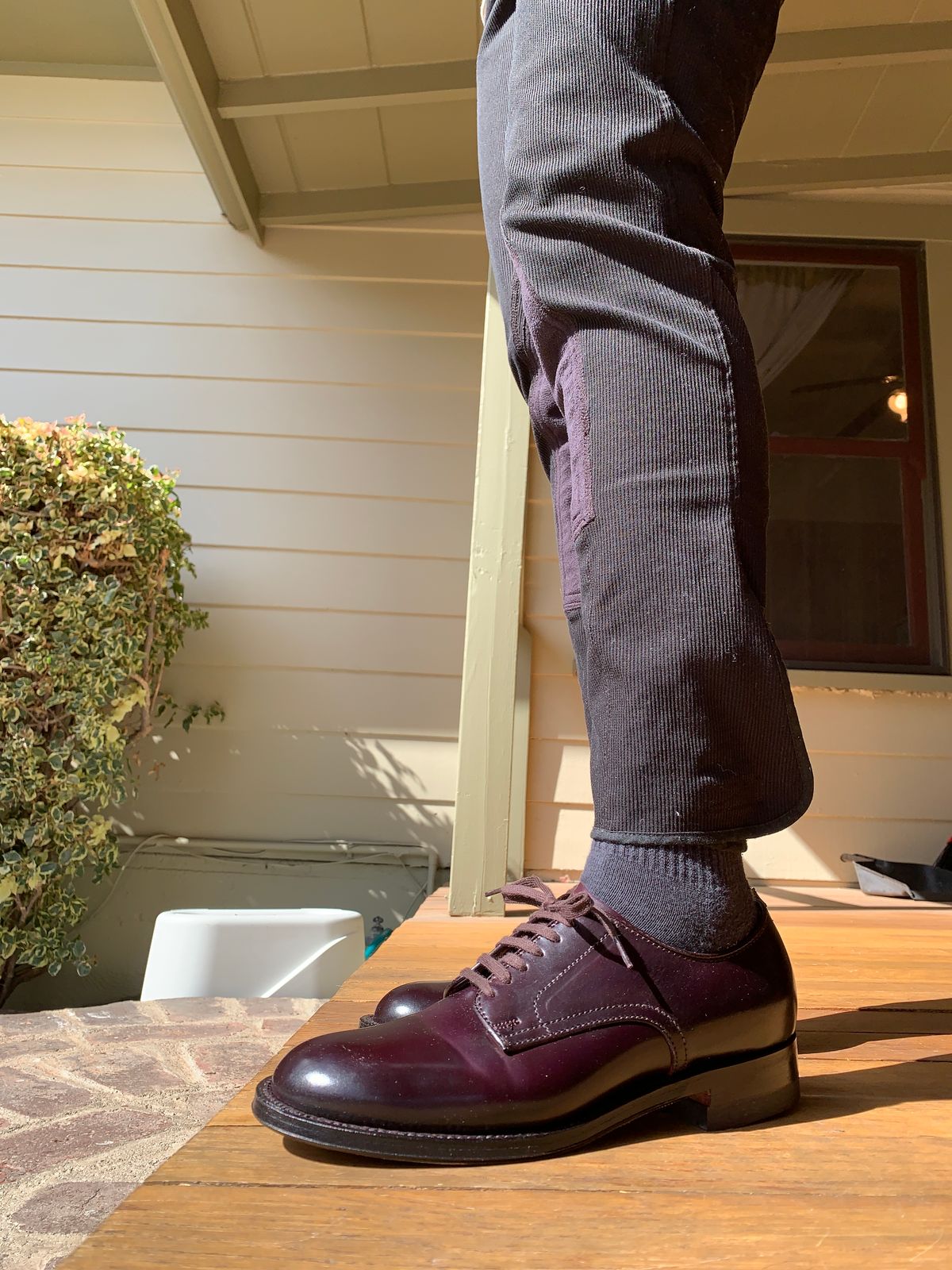 Photo by robyn on April 10, 2021 of the Alden Plain Toe Derby in Horween Color 8 Shell Cordovan.