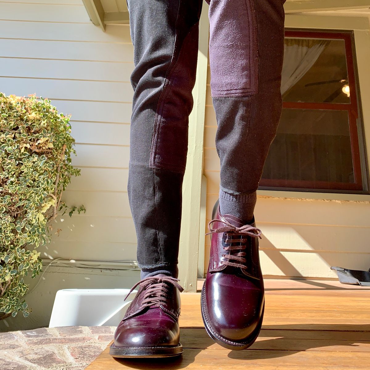 Photo by robyn on April 10, 2021 of the Alden Plain Toe Derby in Horween Color 8 Shell Cordovan.