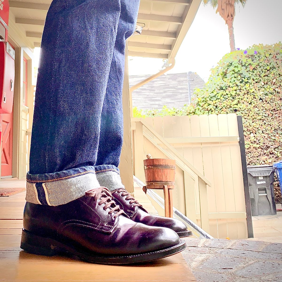 Photo by robyn on July 18, 2021 of the Alden Plain Toe Derby in Horween Color 8 Shell Cordovan.