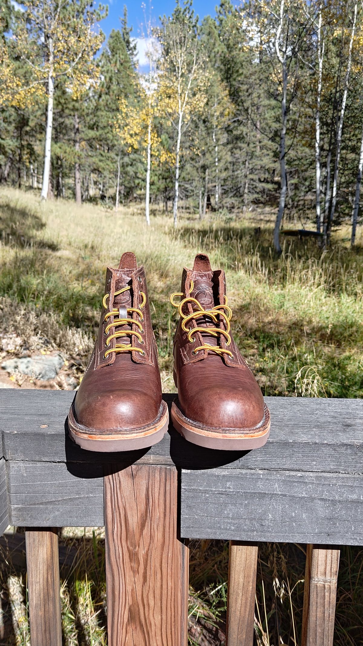 Photo by PodJr on October 1, 2023 of the Origin The American Bison 6" Boot in American Bison.