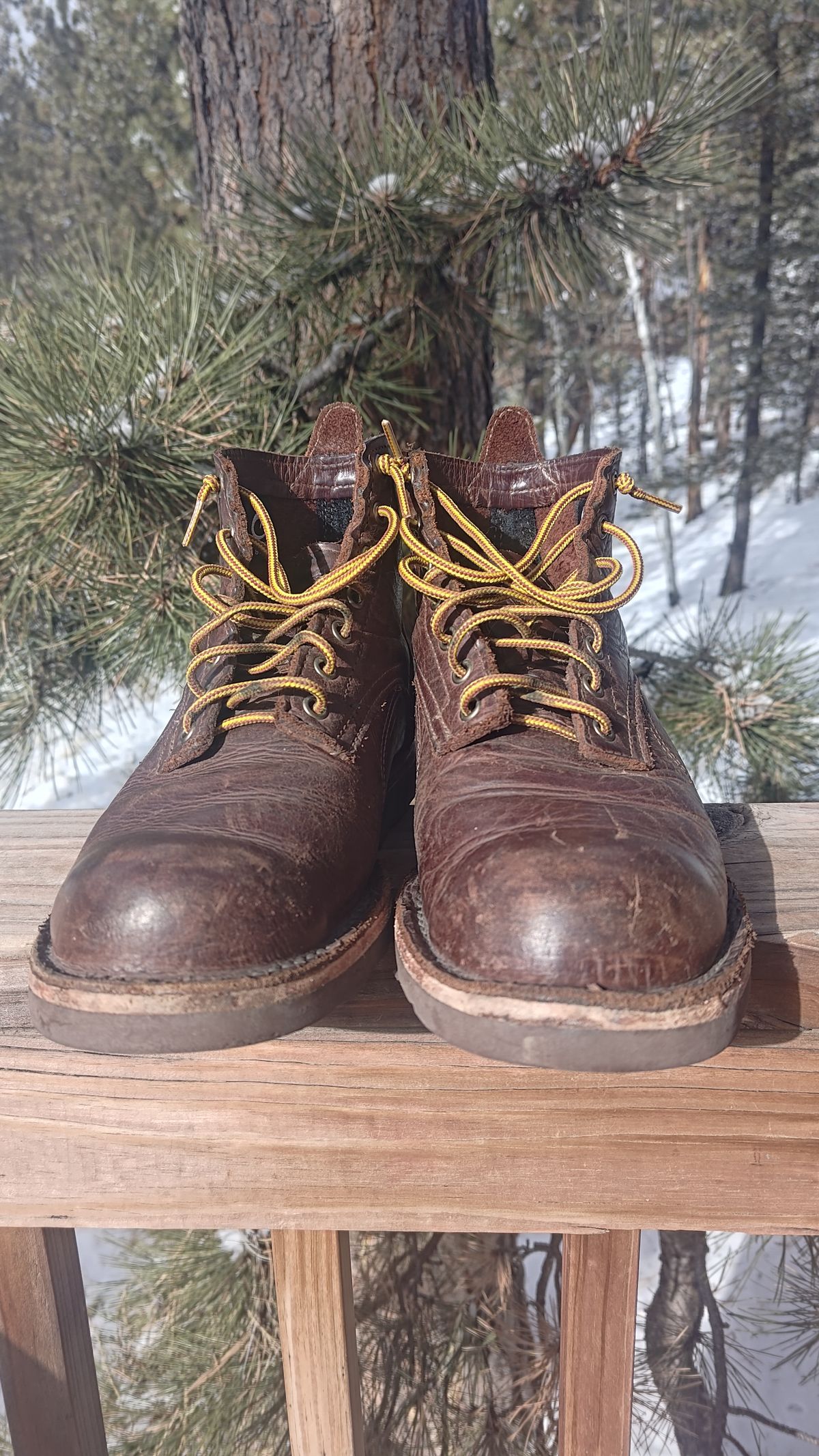 Photo by PodJr on January 5, 2024 of the Origin The American Bison 6" Boot in American Bison.