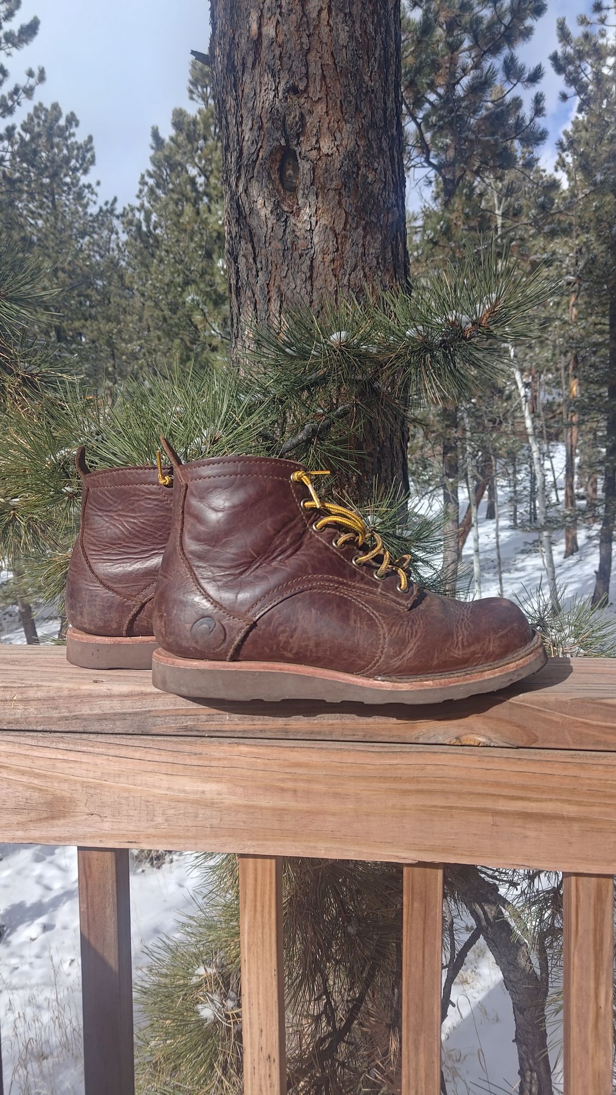 Photo by PodJr on January 5, 2024 of the Origin The American Bison 6" Boot in American Bison.