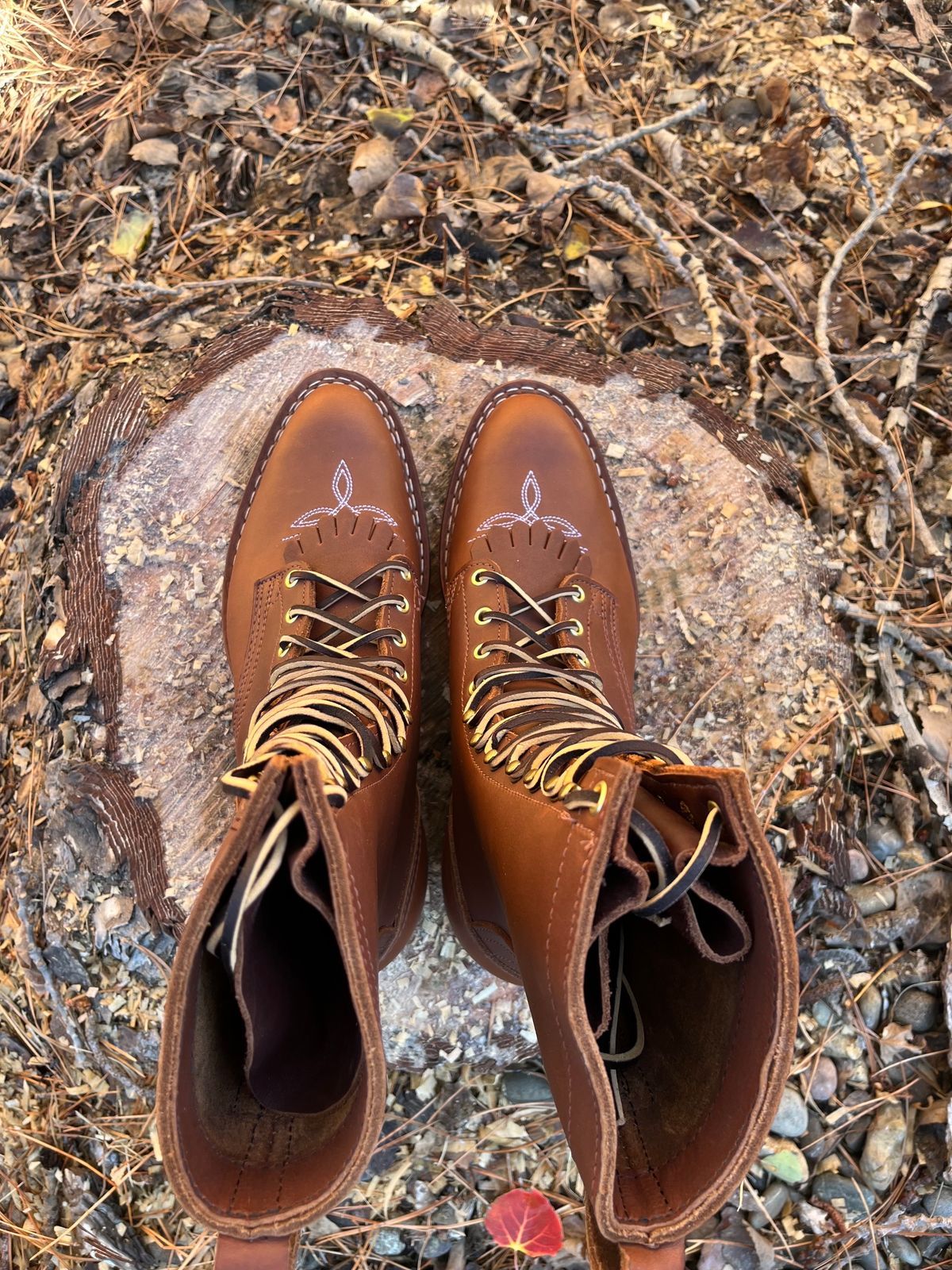 Photo by BigStetson on October 1, 2023 of the Nicks Packer in Seidel 1964 Brown.