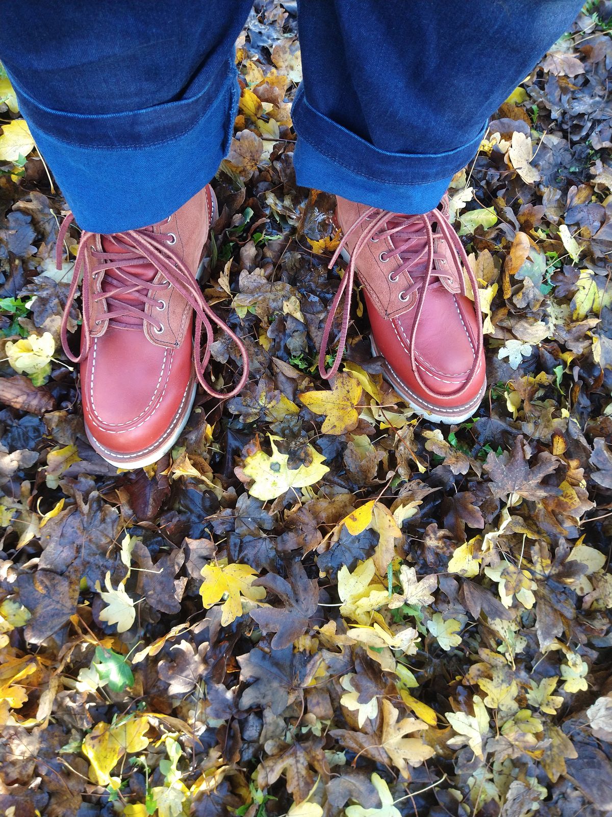 Photo by Alatariel on November 4, 2022 of the Red Wing 6-Inch Classic Moc in S.B. Foot Oro-Russet Portage.