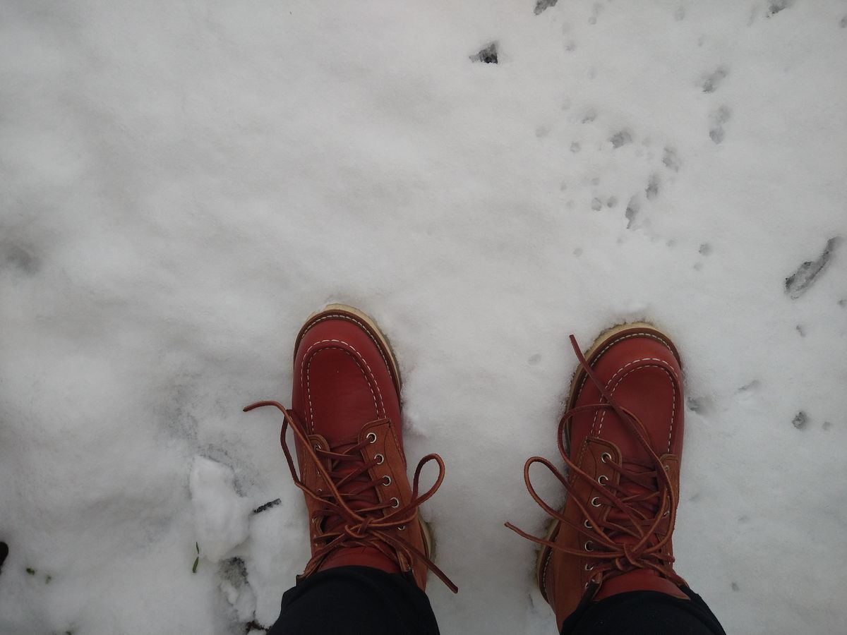 Photo by Alatariel on January 1, 2023 of the Red Wing 6-Inch Classic Moc in S.B. Foot Oro-Russet Portage.