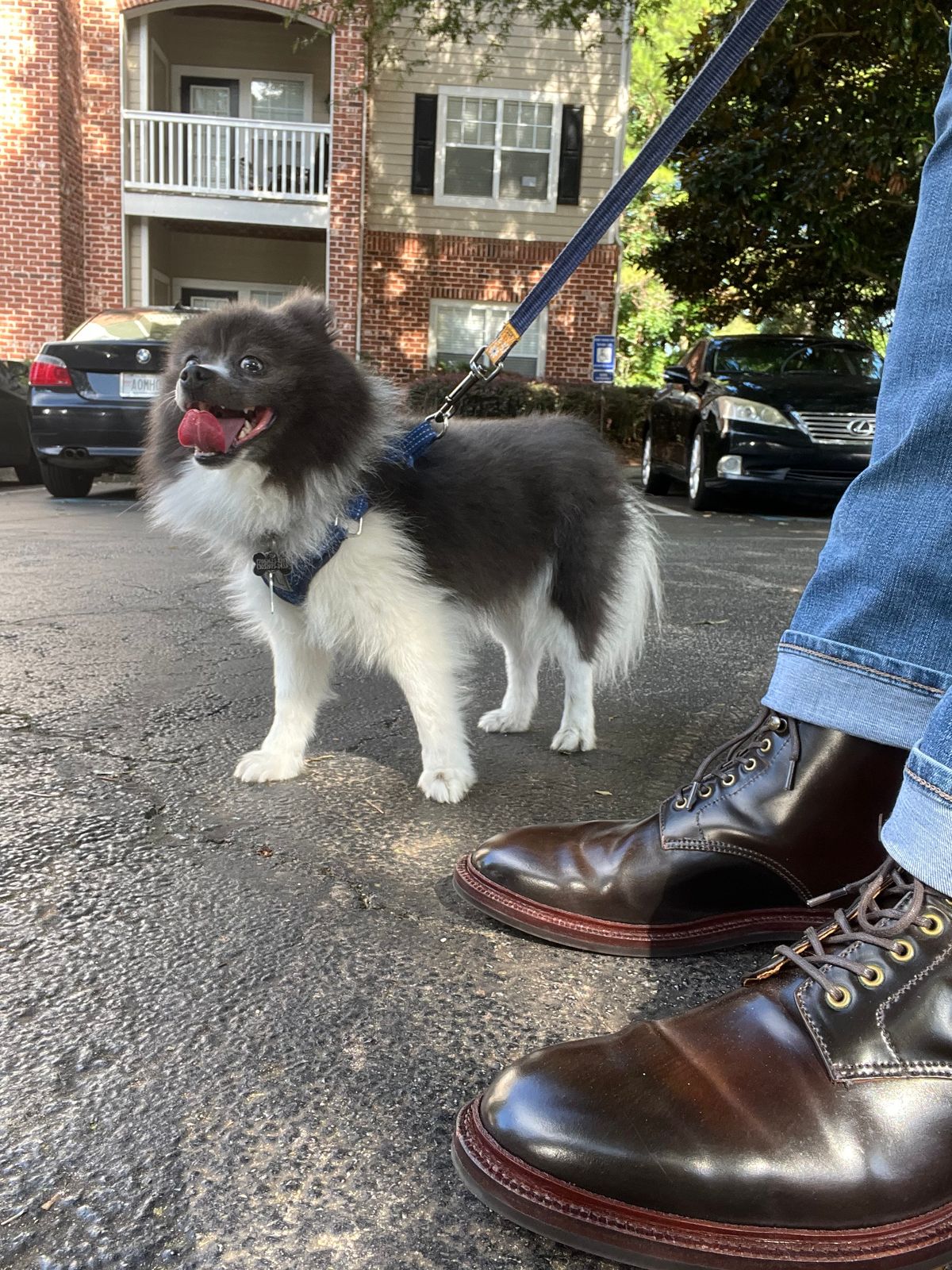 Photo by Bota71 on September 2, 2023 of the Grant Stone Edward Boot in Horween Maduro Shell Cordovan.