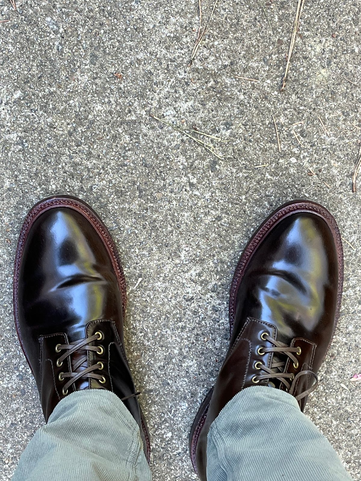 Photo by Bota71 on April 6, 2024 of the Grant Stone Edward Boot in Horween Maduro Shell Cordovan.