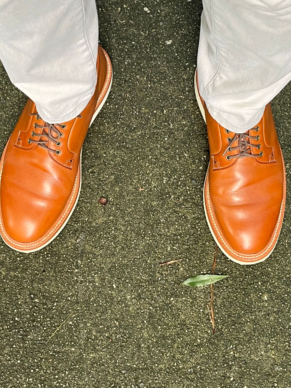 Photo by Bota71 on September 9, 2023 of the Grant Stone Plain Toe Blucher in Badalassi Carlo Saddle Tan Minerva.