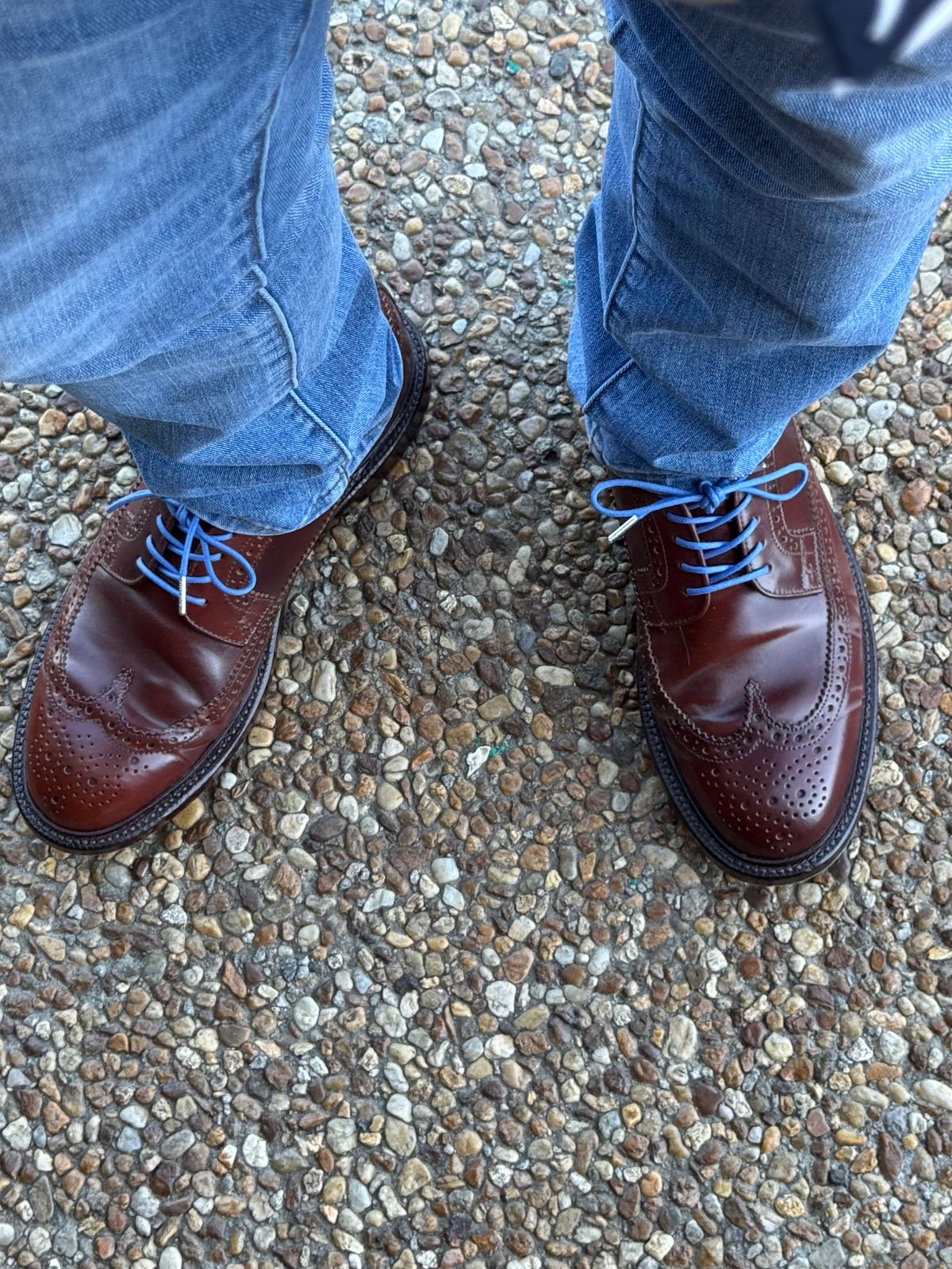 Photo by Bota71 on May 3, 2026 of the Grant Stone Longwing in Horween Garnet Shell Cordovan.