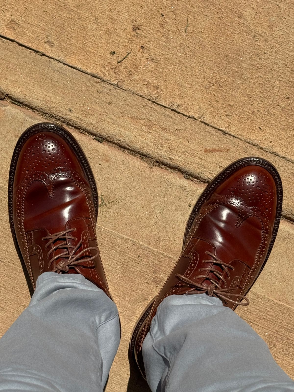 Photo by Bota71 on July 5, 2026 of the Grant Stone Longwing in Horween Garnet Shell Cordovan.