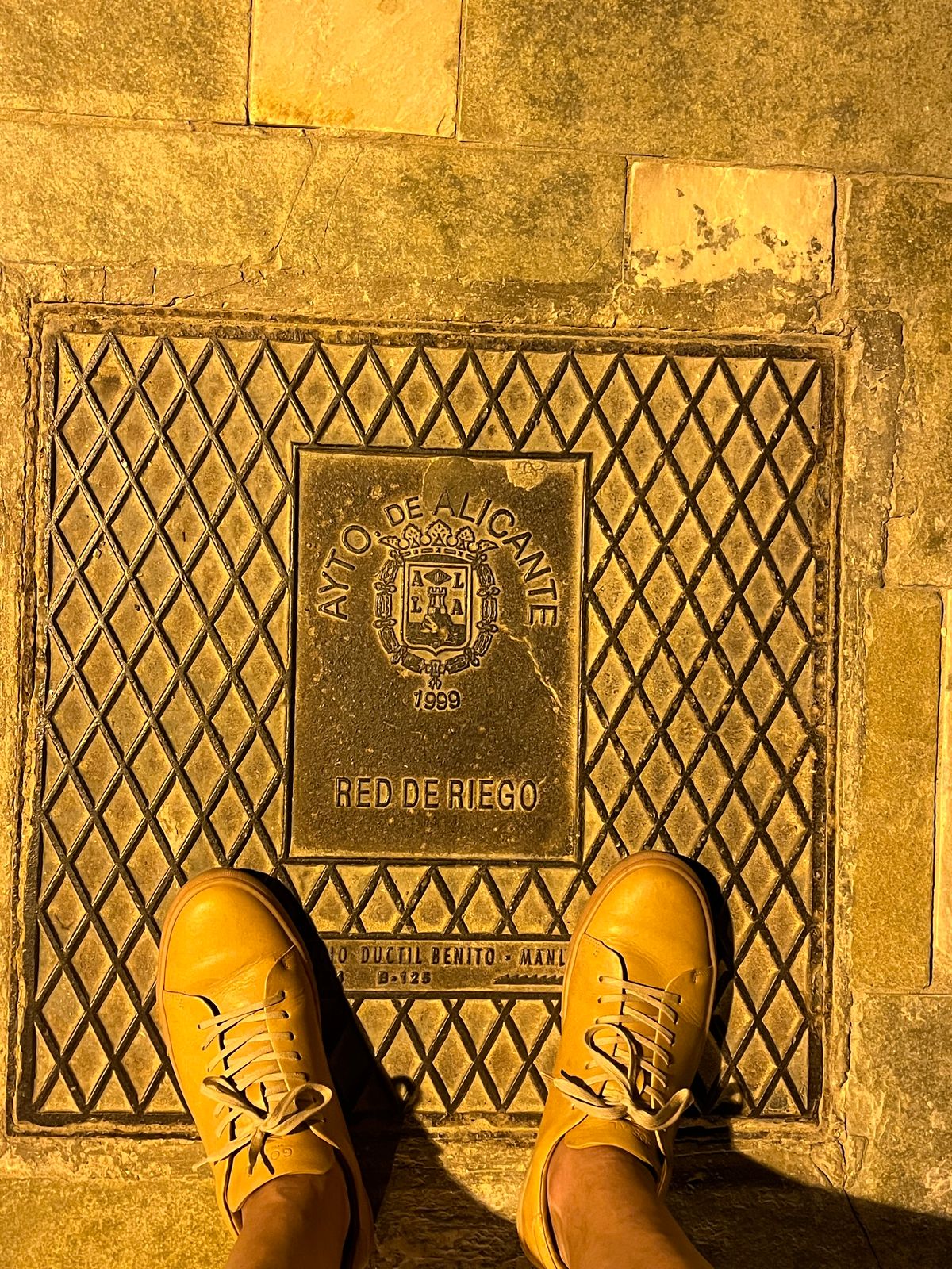 Photo by Bota71 on July 29, 2023 of the Goral Mellor in Unknown Natural Veg Tan.