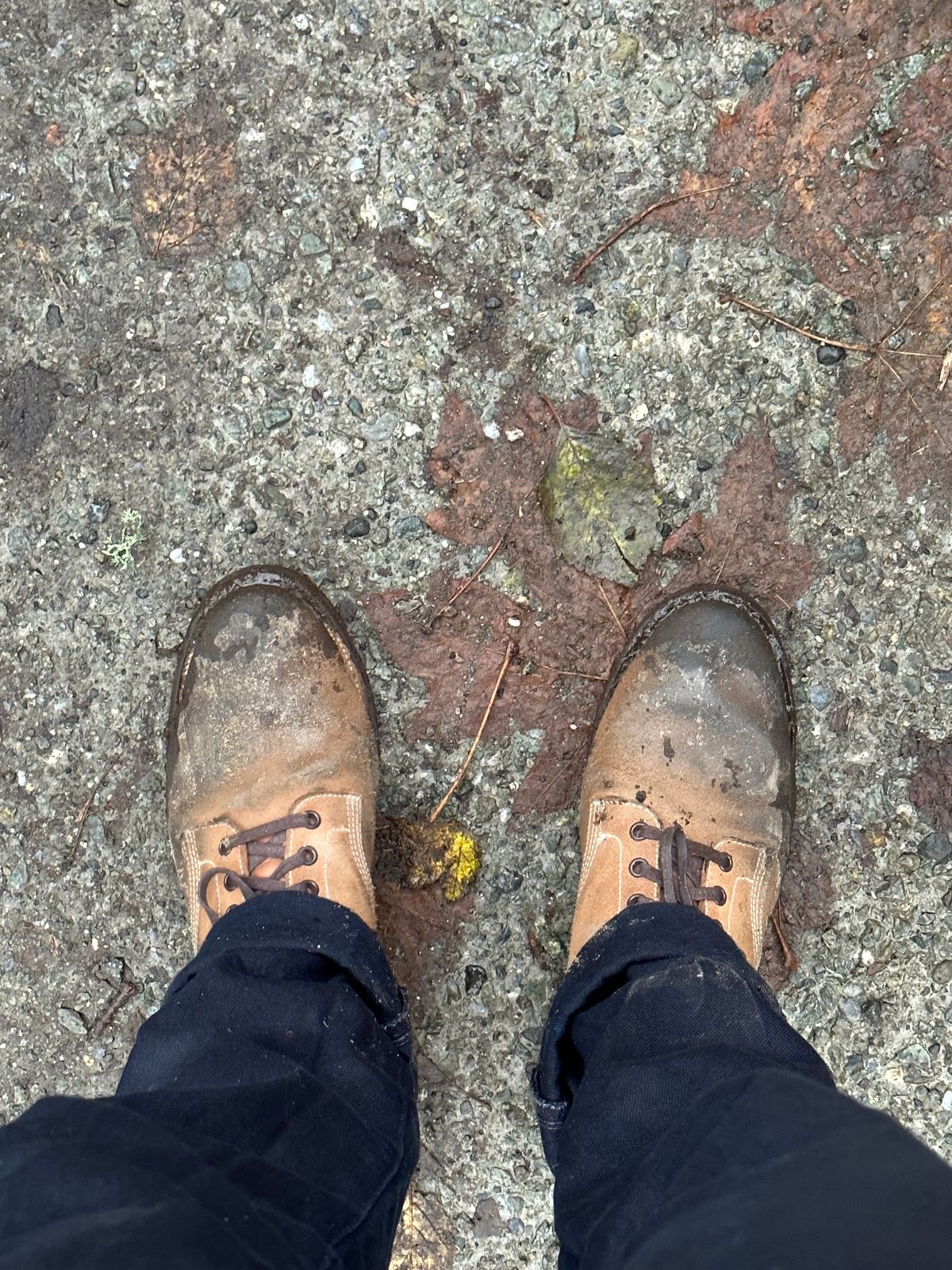 Photo by yuswang on December 11, 2023 of the Viberg Boondocker in Horween Natural Chromexcel Roughout.