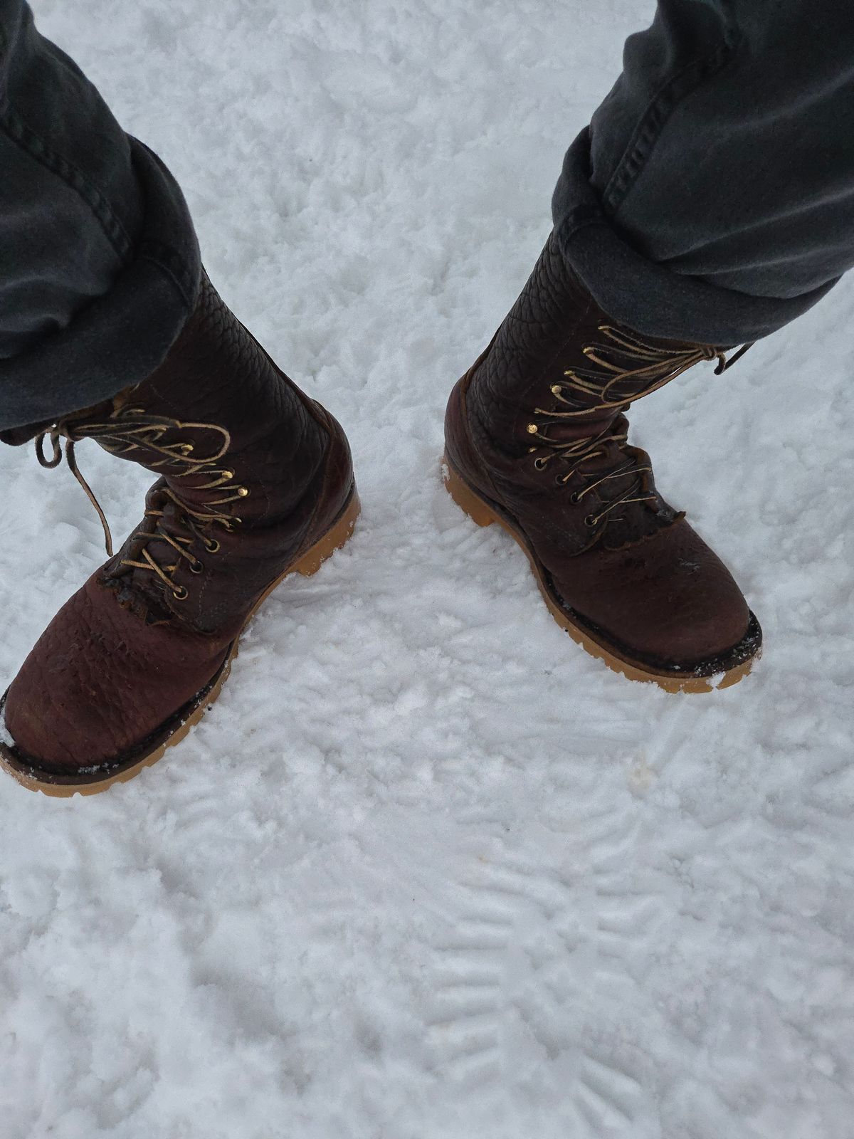 Photo by Cradd710 on January 10, 2025 of the JK Boots O.T. in Bison Smooth.