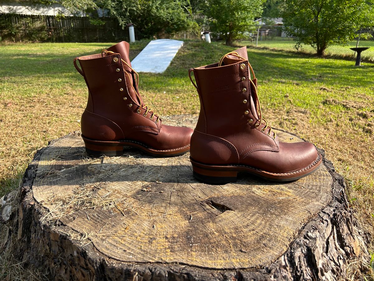 Photo by rudnick on October 1, 2023 of the White's Stockman in Seidel Red Dog Oil Tan.