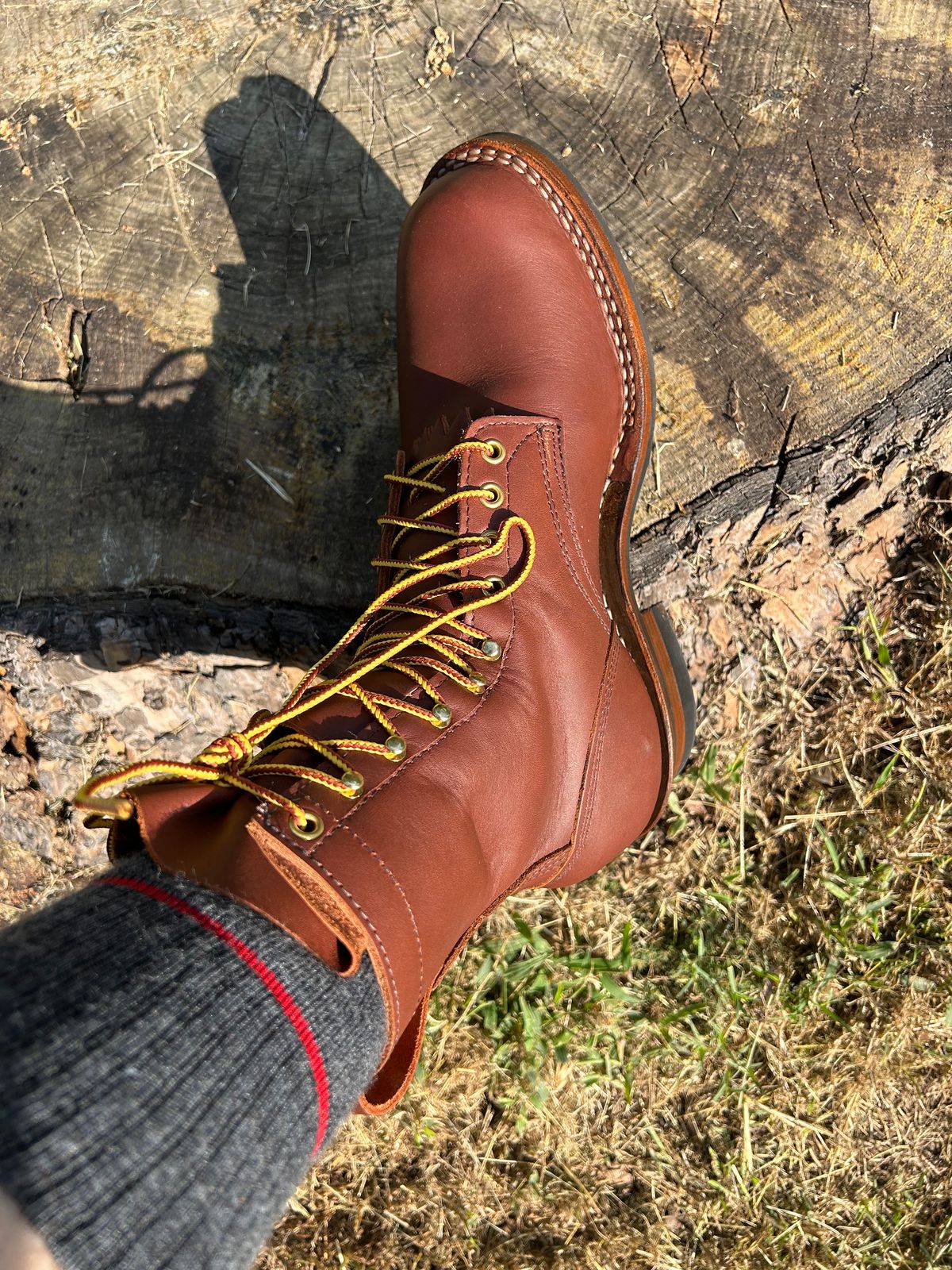 Photo by rudnick on October 1, 2023 of the White's Stockman in Seidel Red Dog Oil Tan.