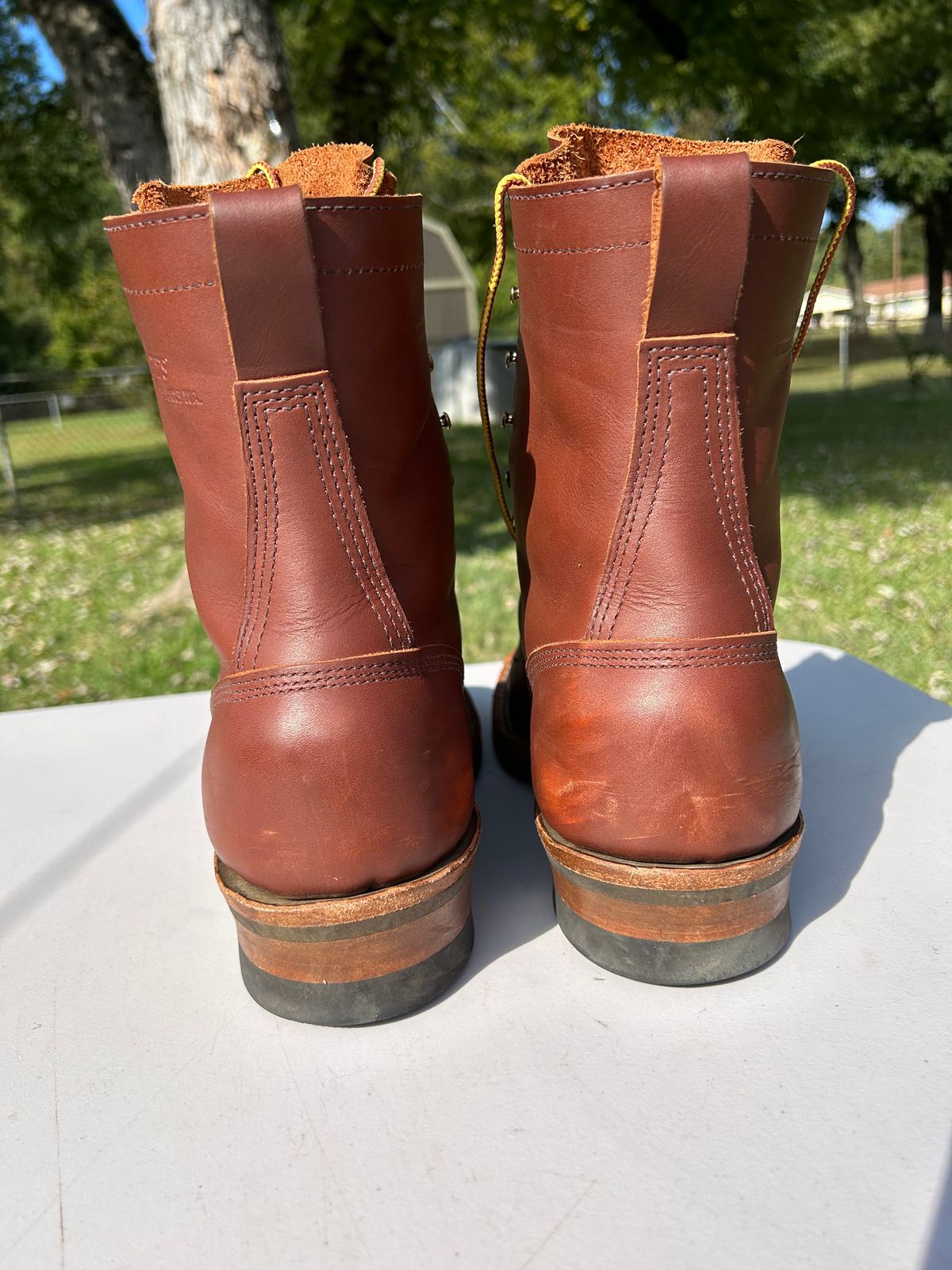 Photo by rudnick on November 5, 2023 of the White's Stockman in Seidel Red Dog Oil Tan.