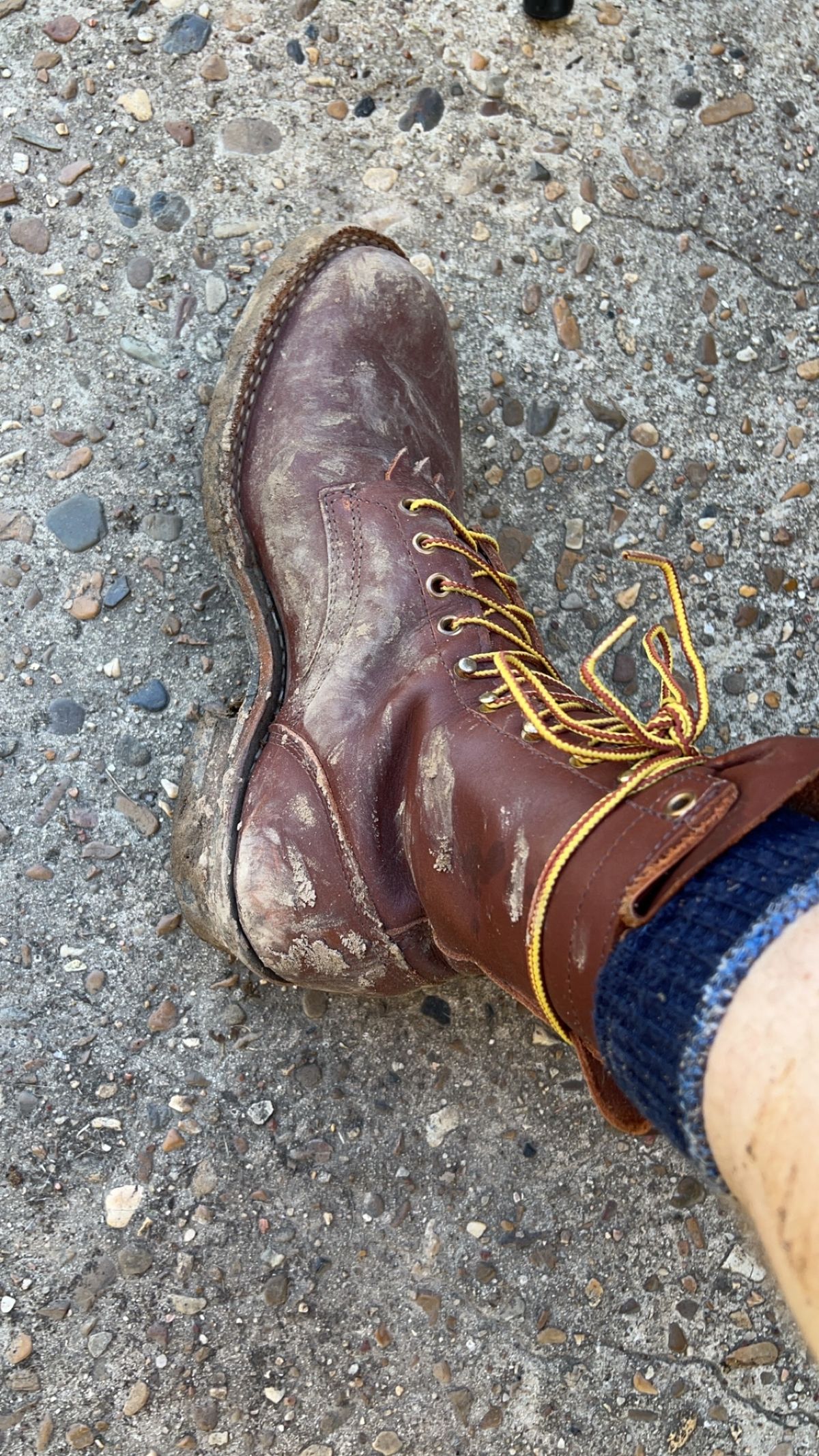 Photo by rudnick on November 18, 2023 of the White's Stockman in Seidel Red Dog Oil Tan.