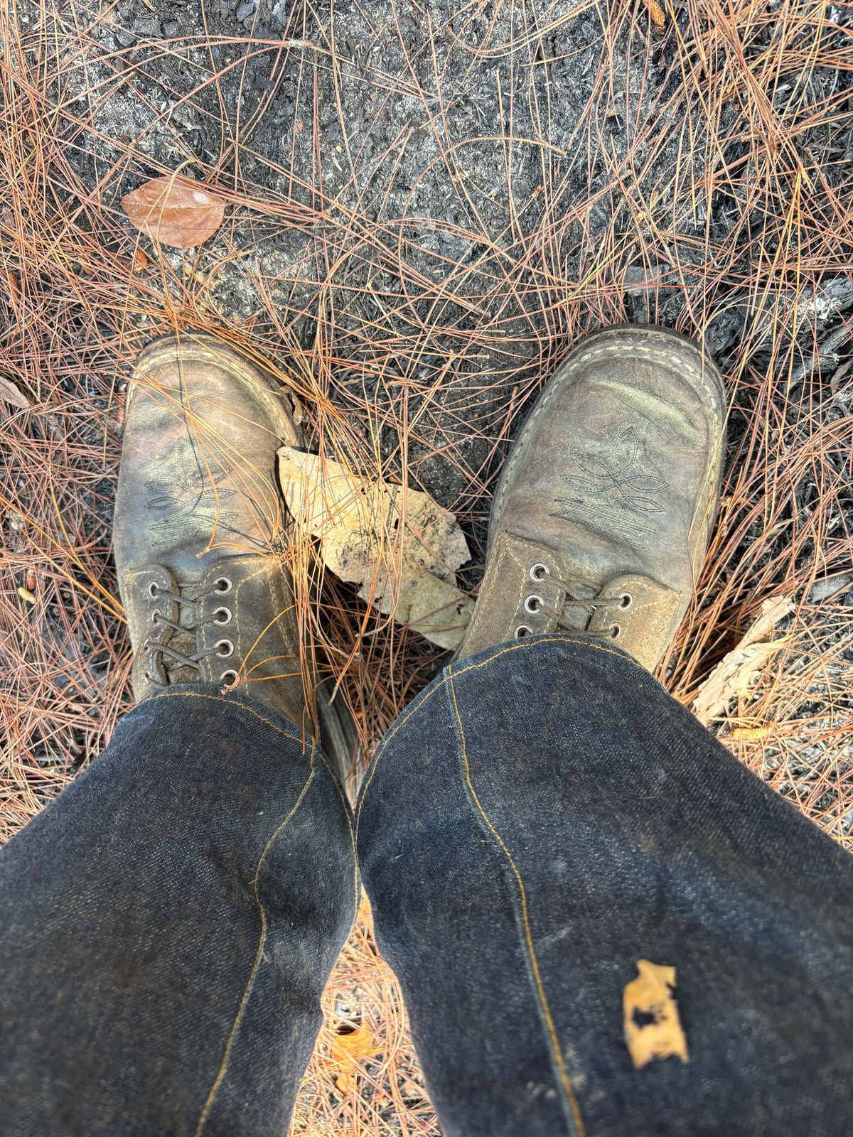 Photo by reothich on March 9, 2024 of the White's Farmer/Rancher in Horween Black Horsehide & Black Waxed Flesh.