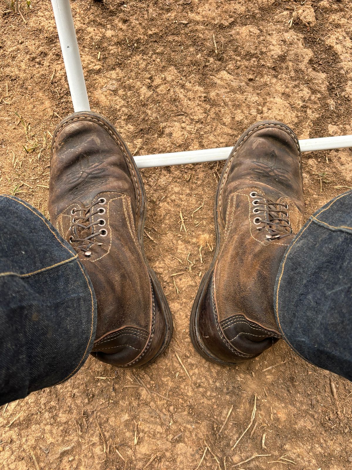 Photo by reothich on March 23, 2024 of the White's Farmer/Rancher in Horween Black Horsehide & Black Waxed Flesh.