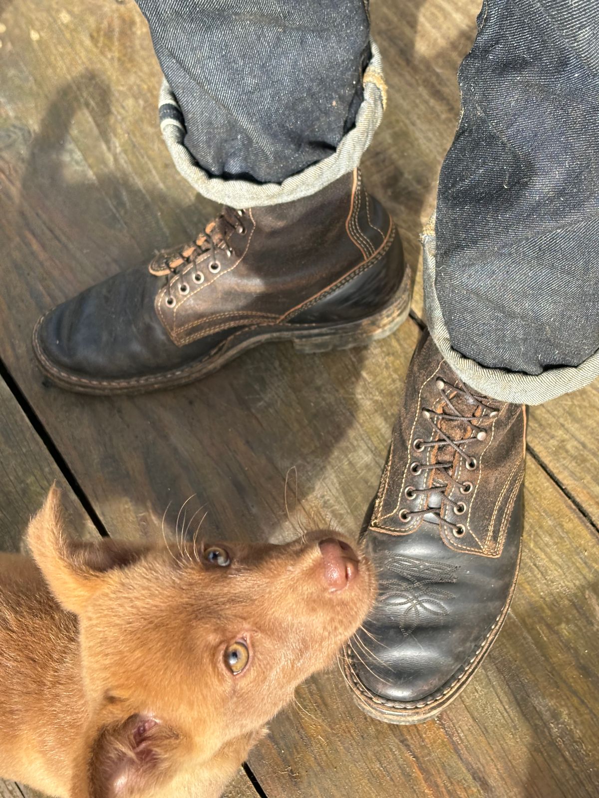 Photo by reothich on November 4, 2023 of the White's Farmer/Rancher in Horween Black Horsehide & Black Waxed Flesh.